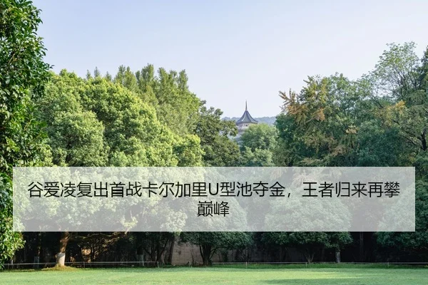 gu-ai-ling-fu-chu-shou-zhan-ka-er-jia-li-xing-chi-duo-jin-wang-zhe-gui-lai-zai-pan-dian-feng-2-866.jpg